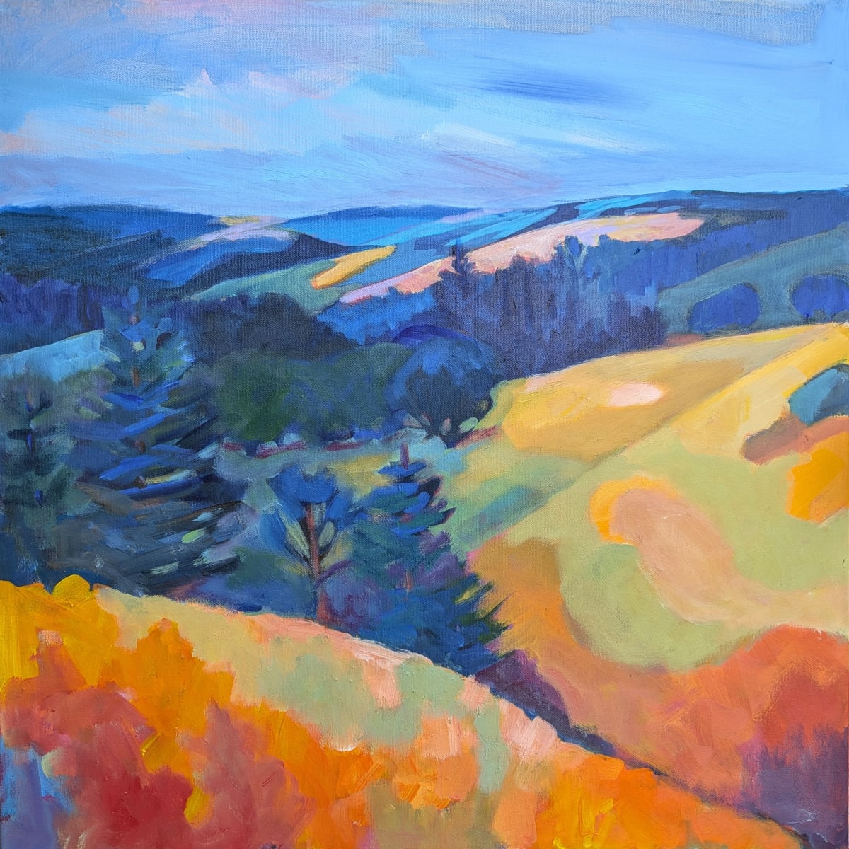 Ipawa Trail View by Stephanie Maclean, Image 1.