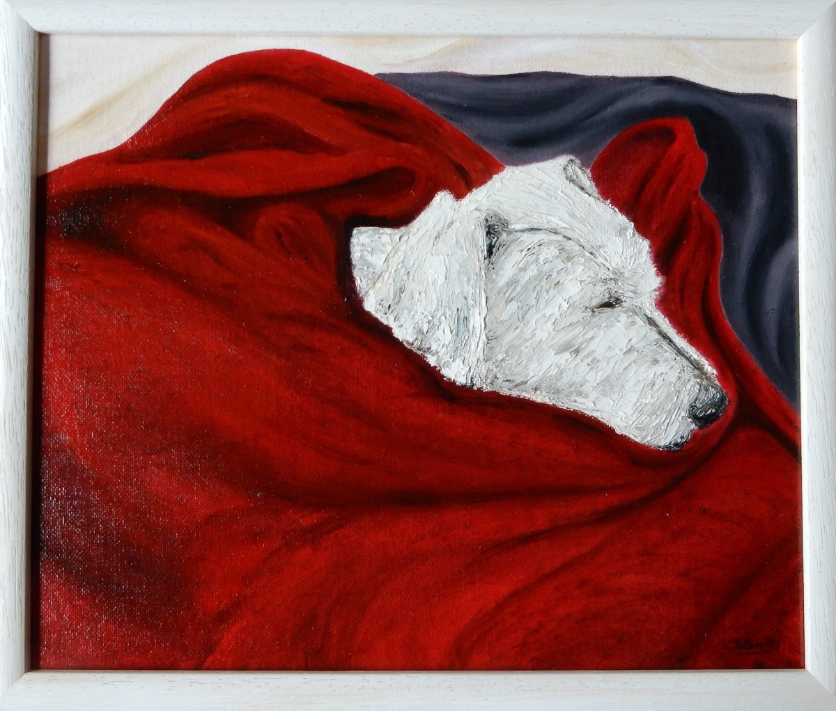 Raffi by Silvia Busetto 