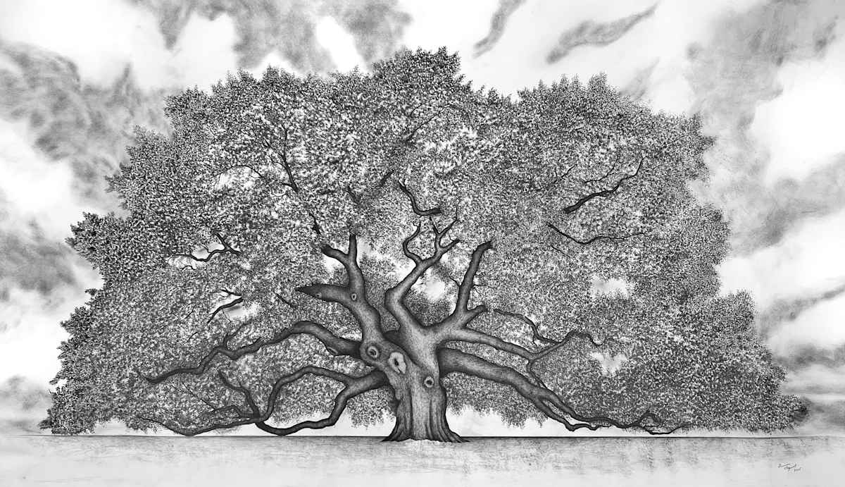 Angel Oak by Gunnar Norquist 