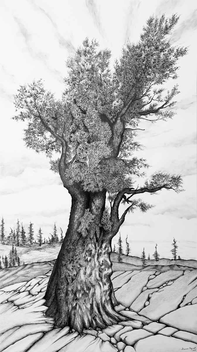 Jōmon Sugi by Gunnar Norquist 