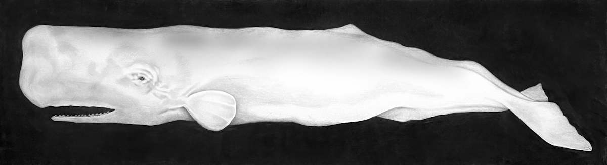 Moby Dick by Gunnar Norquist, Image 1.