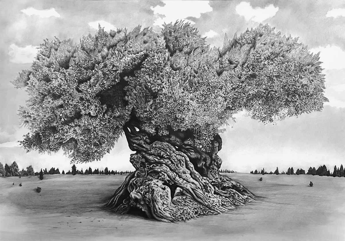 Olive Tree of Vouves by Gunnar Norquist 