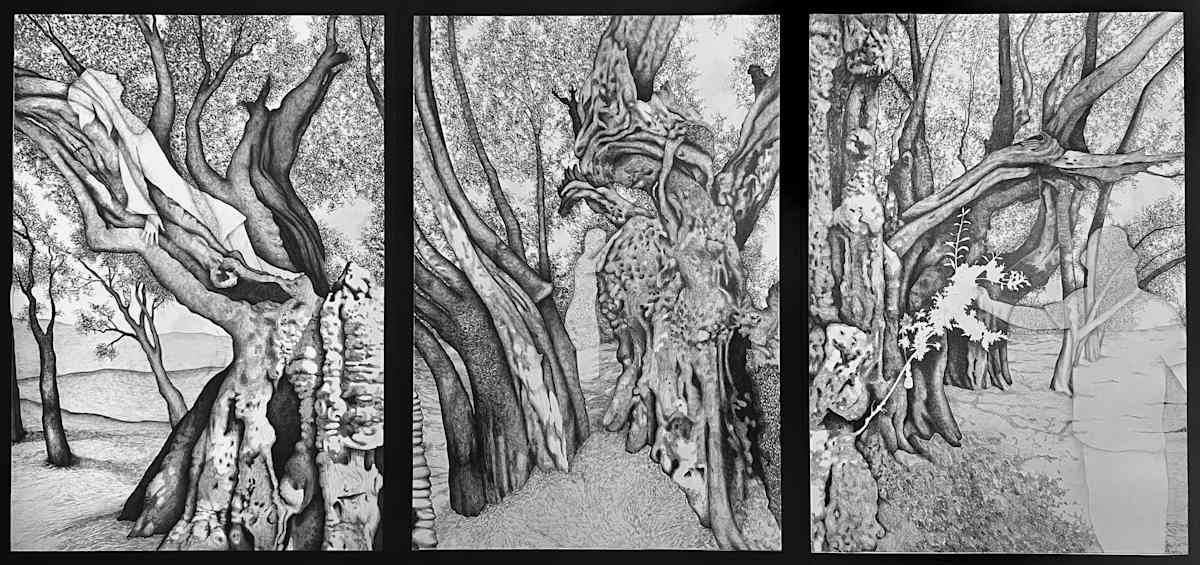 Sumud Tree by Gunnar Norquist  Image: Sumud Triptych