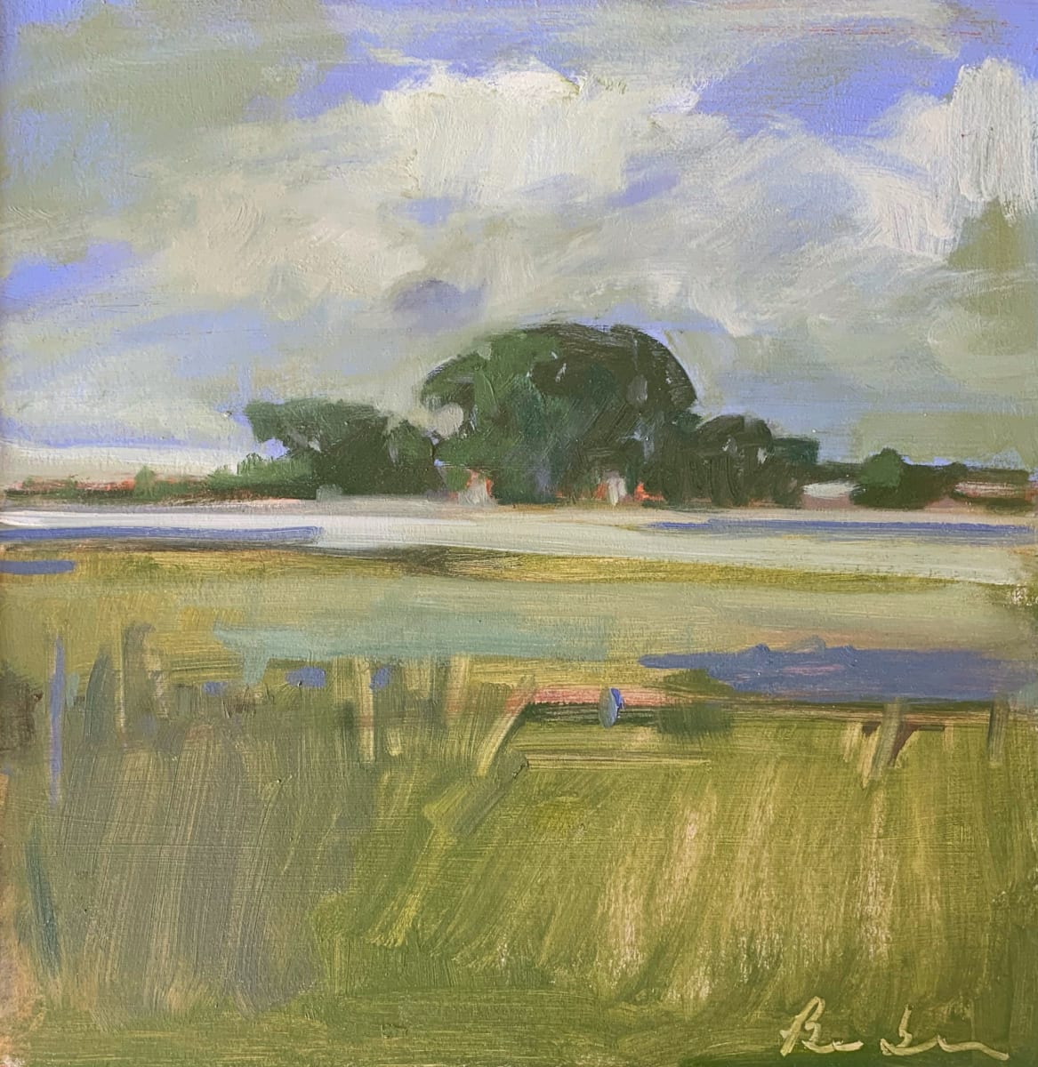 Before a Summer Shower 