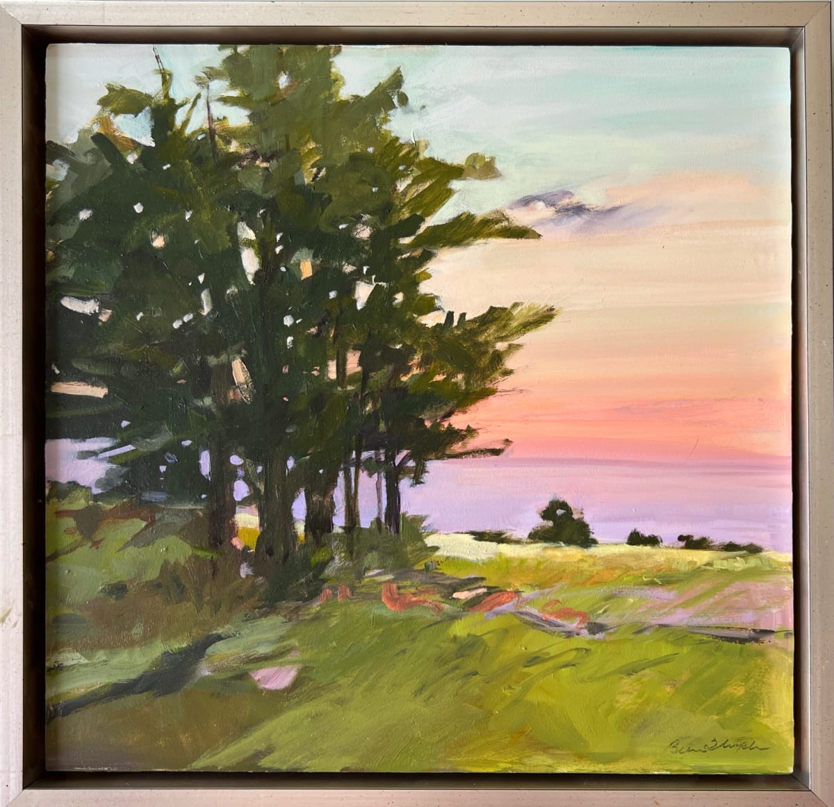 Cedar Tree Sunset by Anne Besse-Shepherd 