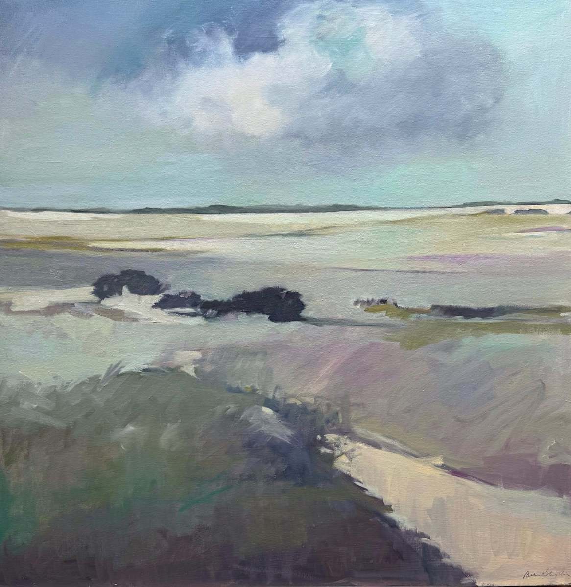 Chappy Beach by Anne Besse-Shepherd 