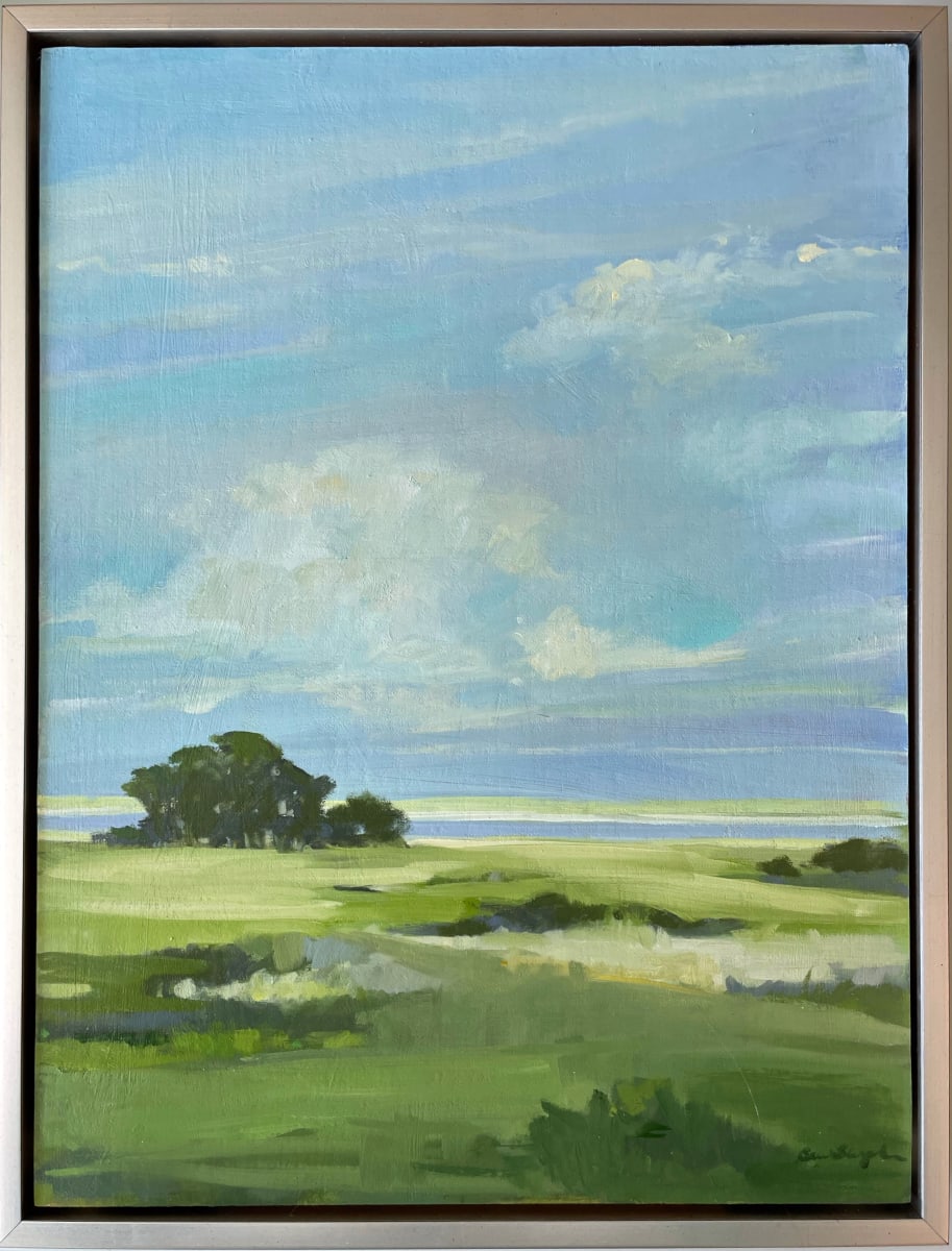 Edgartown Great Pond View 