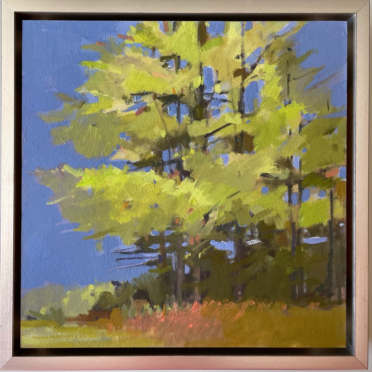 Fulling Mill Trees 