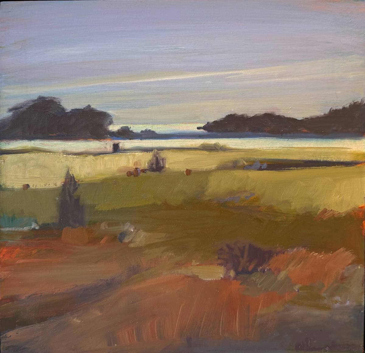 Wasque Sand Plain by Anne Besse-Shepherd 