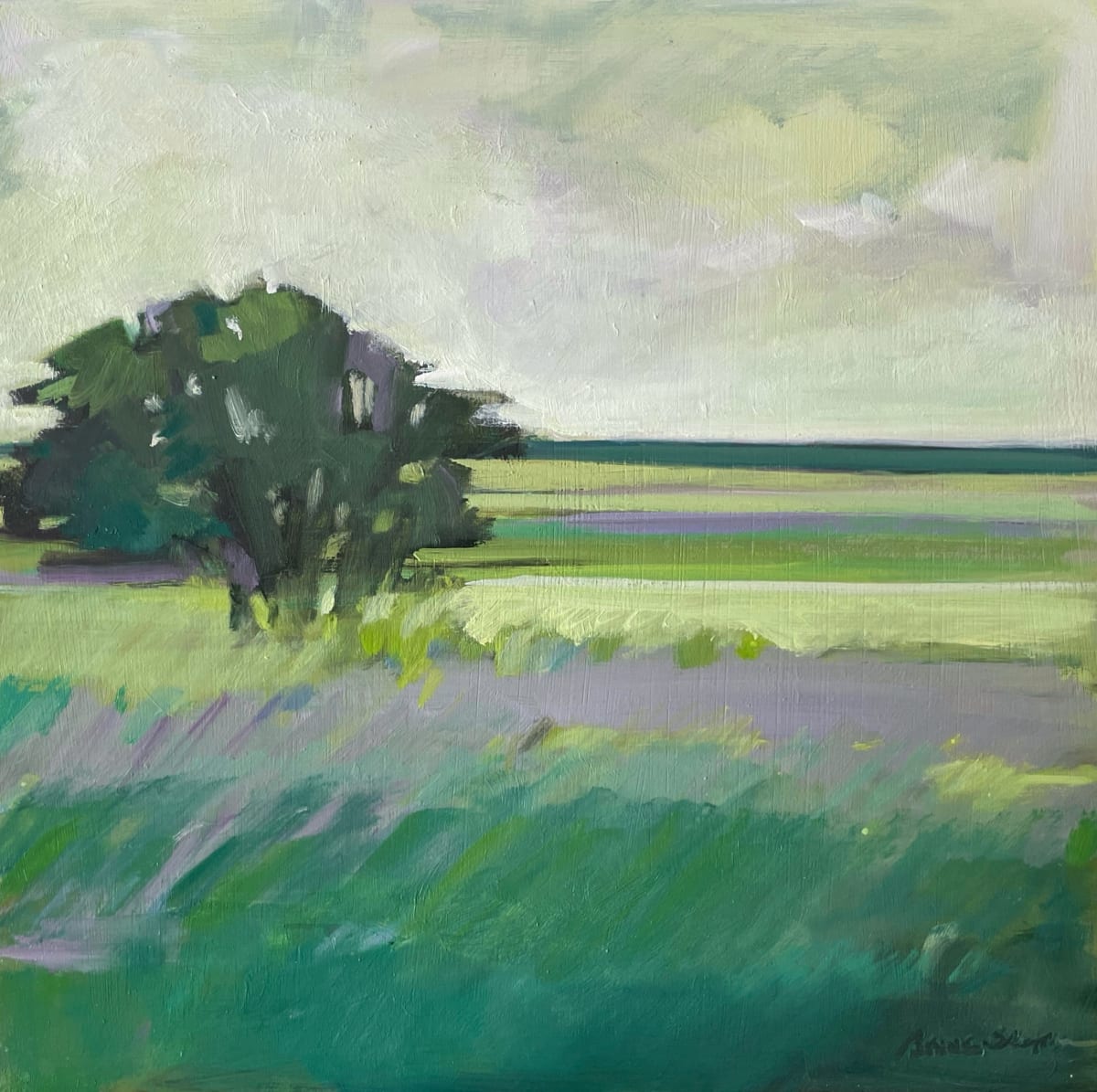 Pecoy Point Meadow 