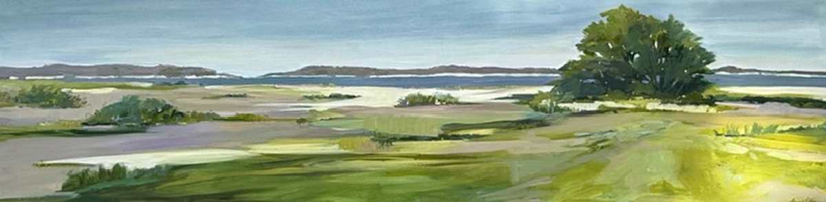 Squibnocket Fields by Anne Besse-Shepherd 