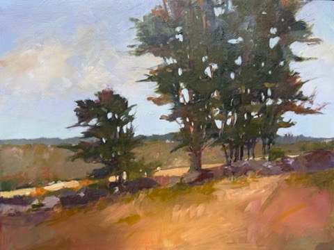 Tiasquam Valley South by Anne Besse-Shepherd 