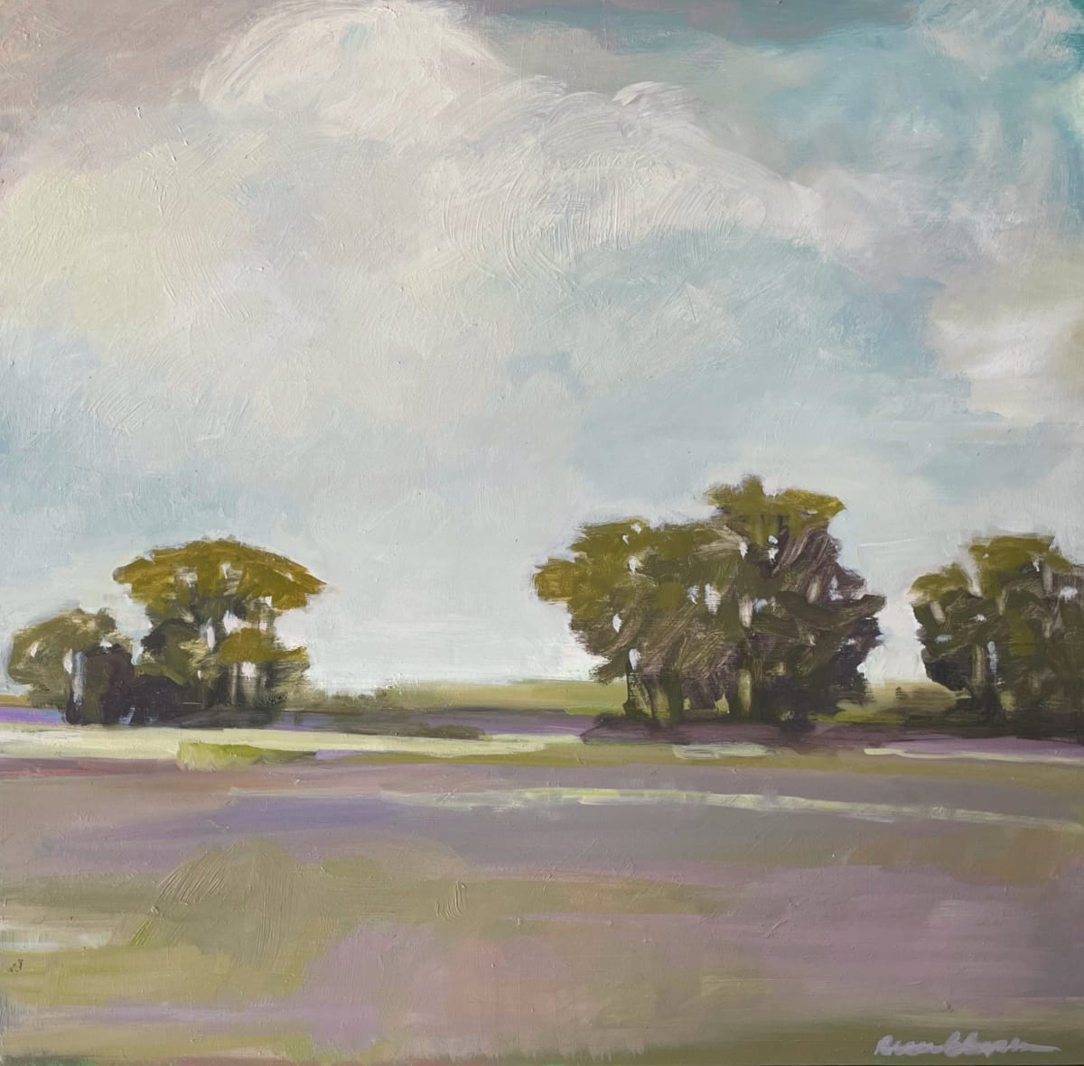 Caroline Tuthill Preserve Edgartown 