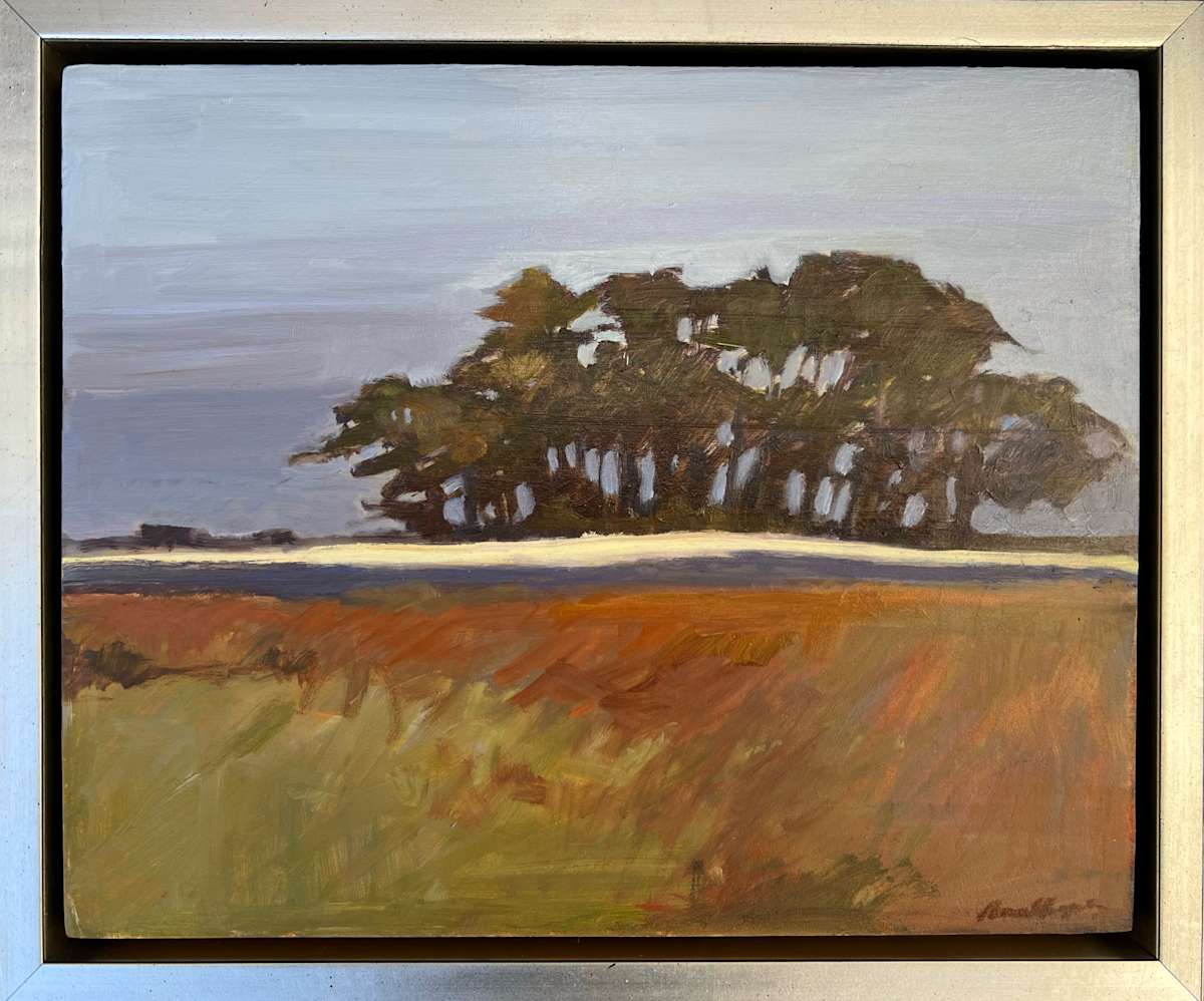 Wasque Grove by Anne Besse-Shepherd 