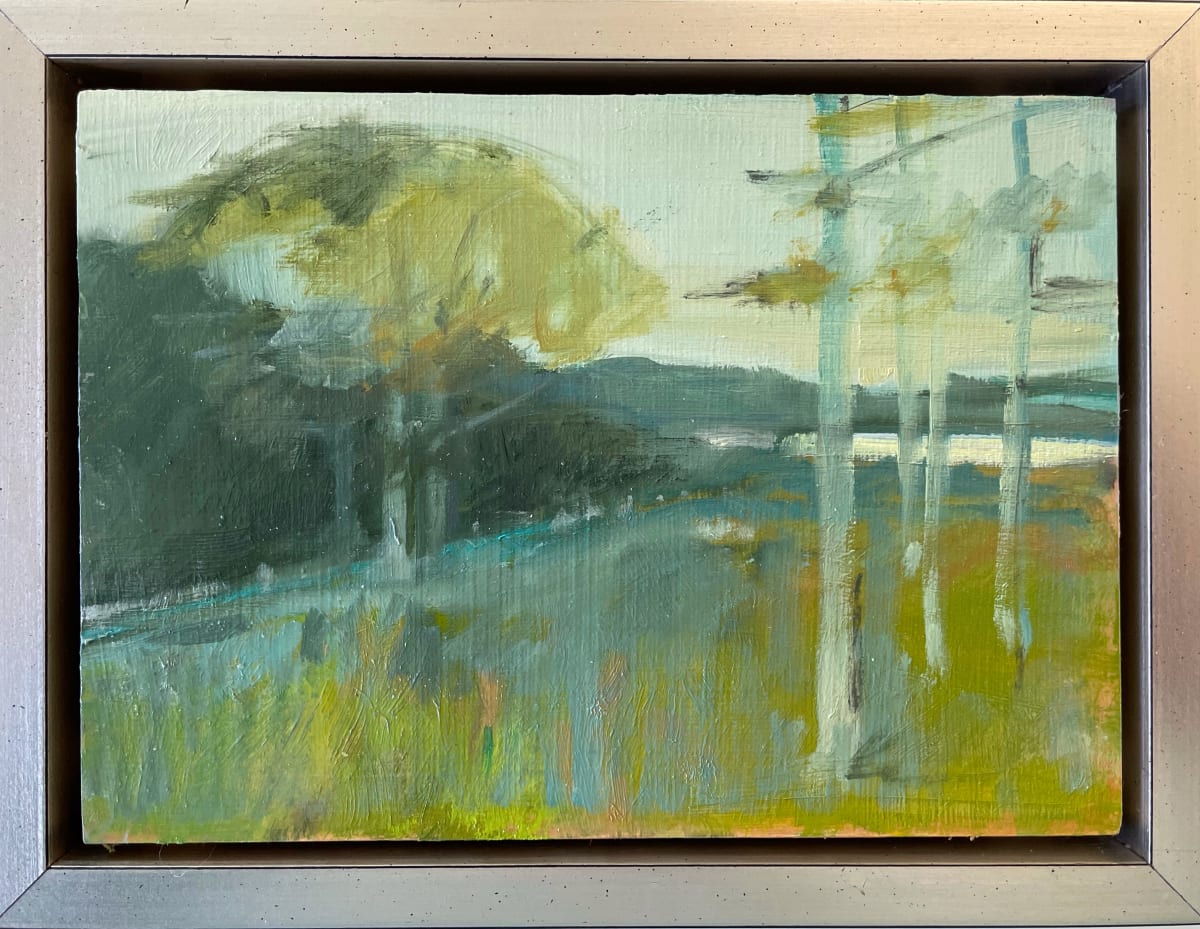 Overlooking Edgartown Pond 