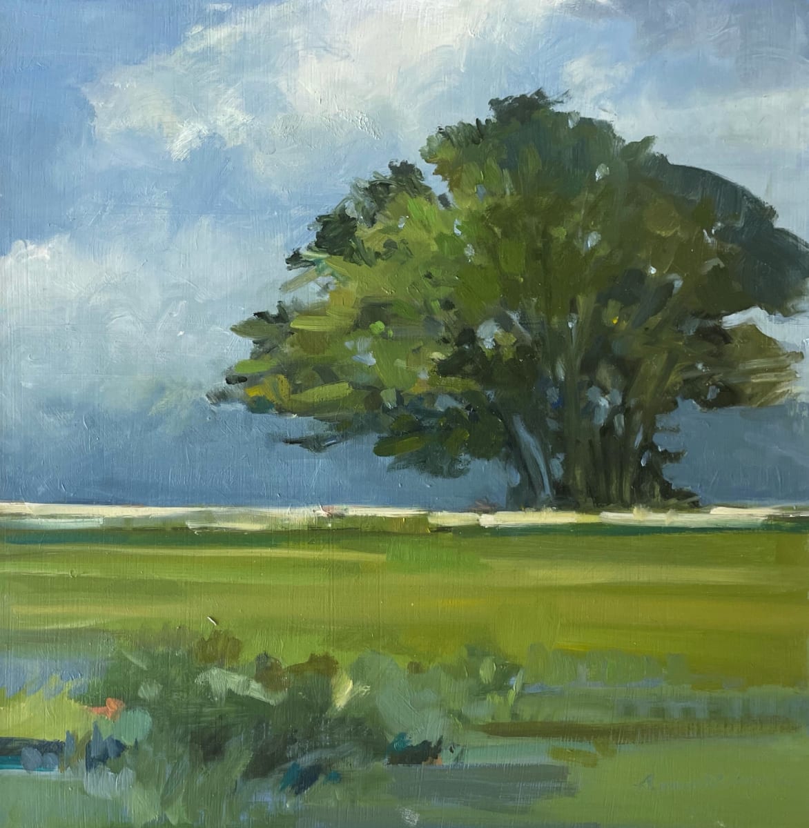 Stormy Sky by Anne Besse-Shepherd 
