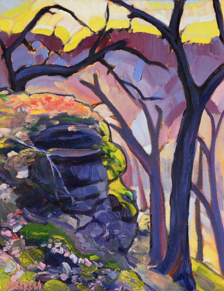 Afternoon Bluff by Heather Friedli  Image: Golden light glistens down upon fallen leaf, spring ephemerals, and limestone outcrops. Trees waiting for the warmth of spring to awaken the spirits of time and leaf. Down valley the future awaits with mysteries.