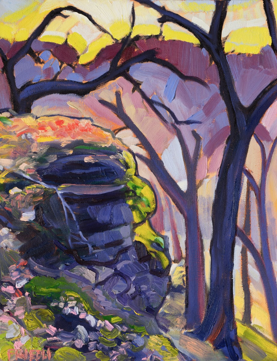 Afternoon Bluff by Heather Friedli  Image: Golden light glistens down upon fallen leaf, spring ephemerals, and limestone outcrops. Trees waiting for the warmth of spring to awaken the spirits of time and leaf. Down valley the future awaits with mysteries.