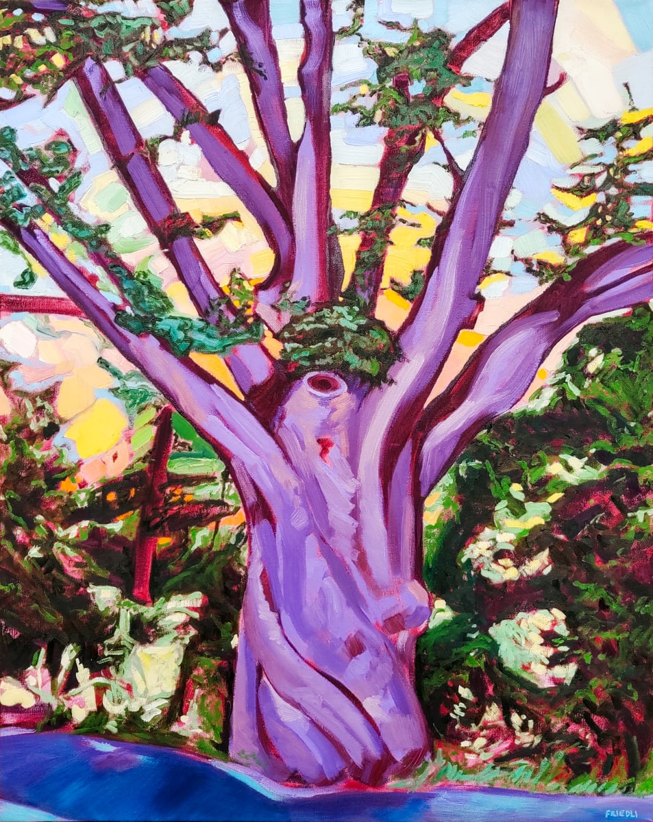 Dover Oak by Heather Friedli  Image: Falling golden orange rays of light flit through the oak's massive branches. A large, twisting trunk reaches up towards the glowing sky. Bold colors and brush strokes give movement, while light falls through highlighting foliage below.