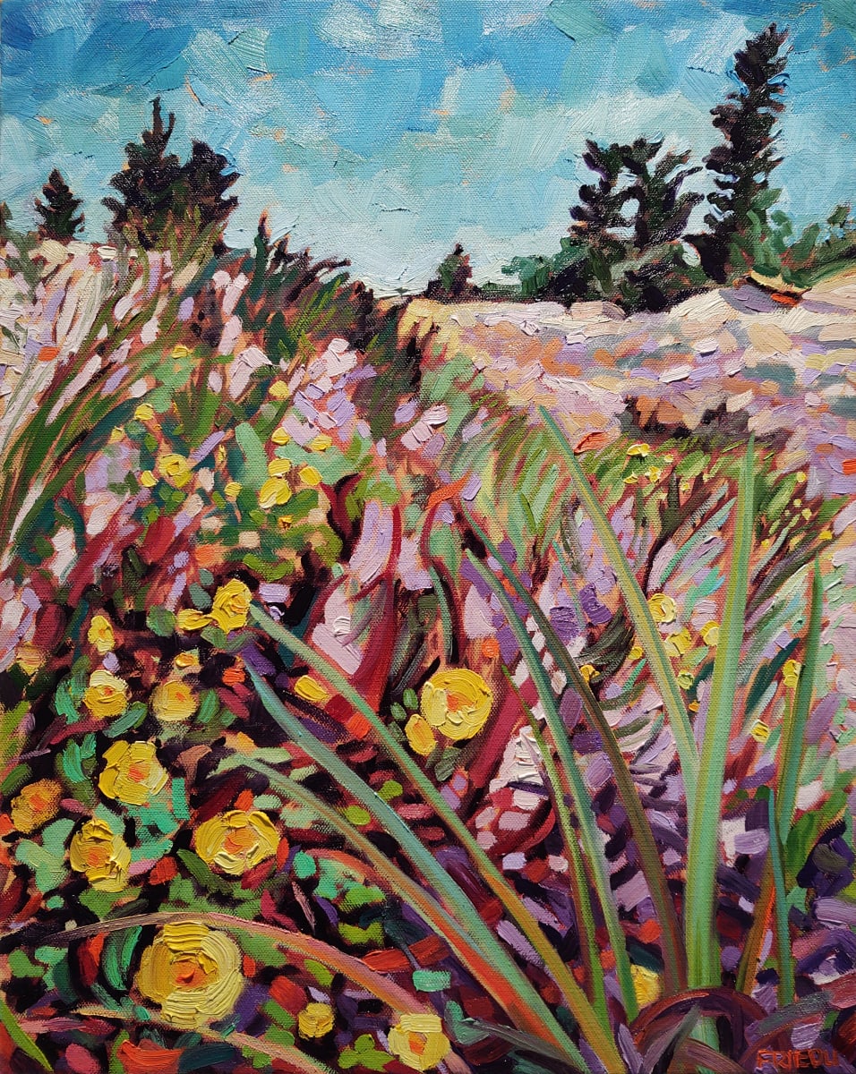 Michigan Dune Flowers 