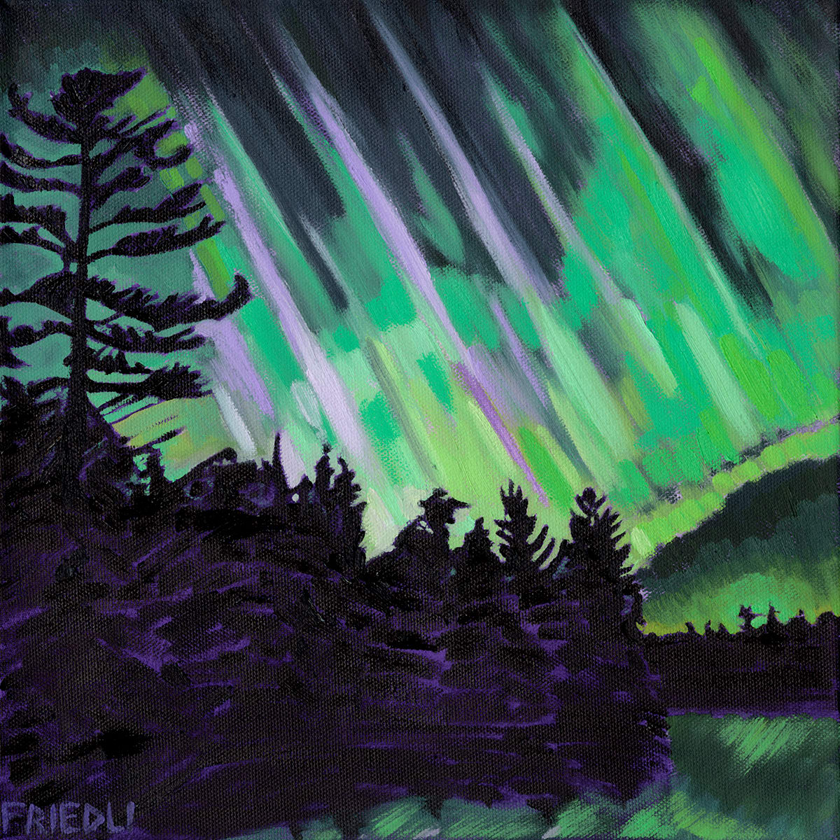 Aurora Lights by Heather Friedli 
