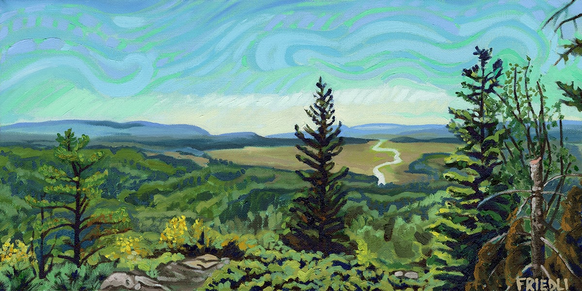 View from the Top by Heather Friedli 