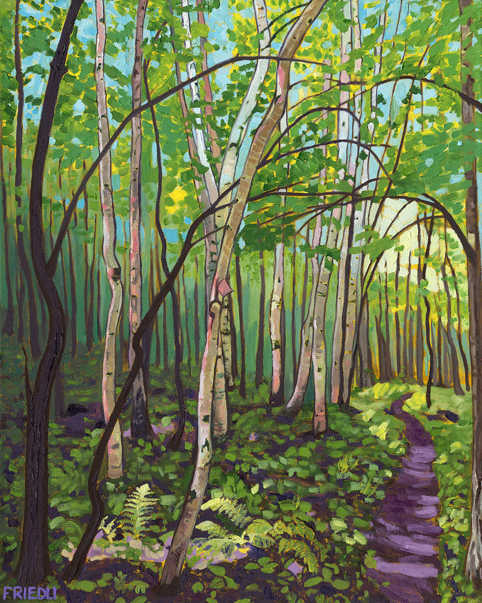 Birches by Heather Friedli 