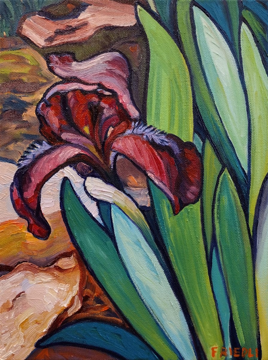 Irresistible Iris by Heather Friedli 