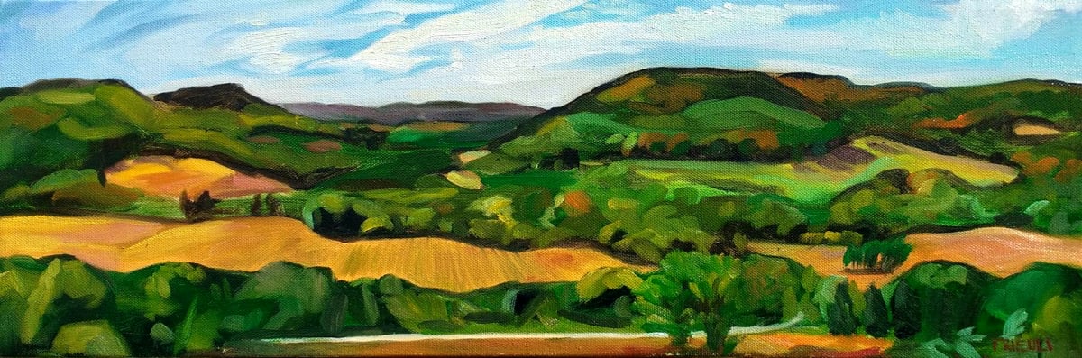 View from Wagner's Hill by Heather Friedli 