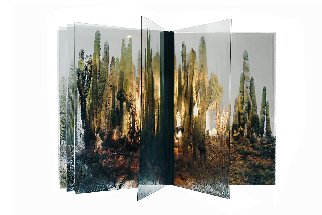 Cardón de la serie "Ad infinitum" by Jacques Bedel 