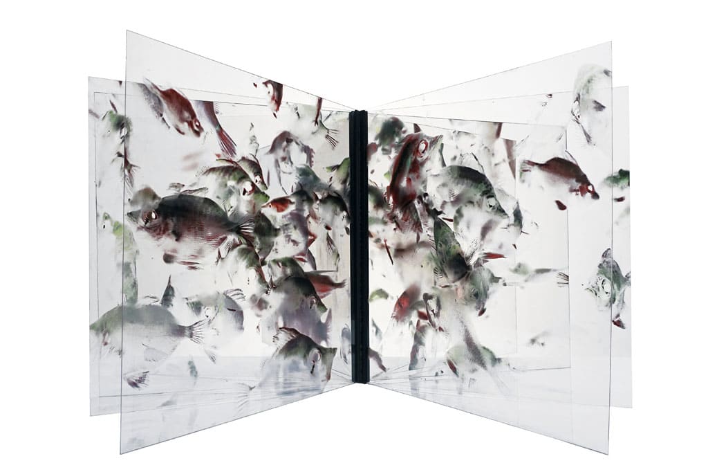 Aquarium de la serie "Ad infinitum" by Jacques Bedel 