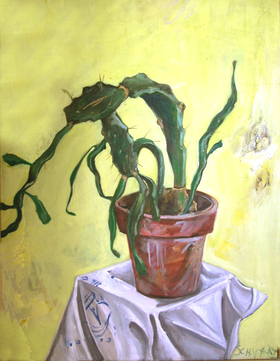 El cáctus by Marcia Schvartz 