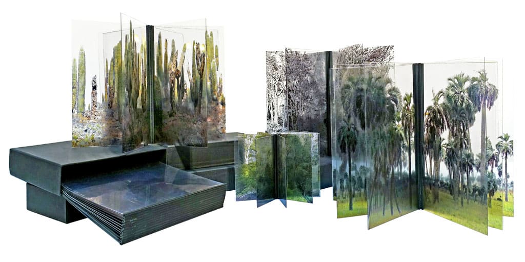 Trees's Books by Jacques Bedel, Image 1.
