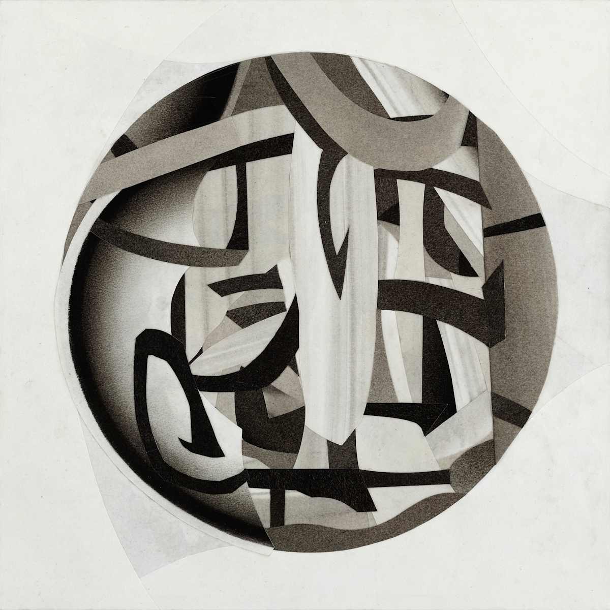 Camera Shy by Daniel Voelker, Image 2.