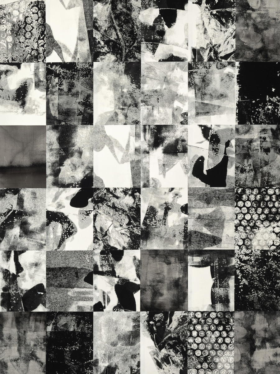 High Above the Trees by Daniel Voelker 