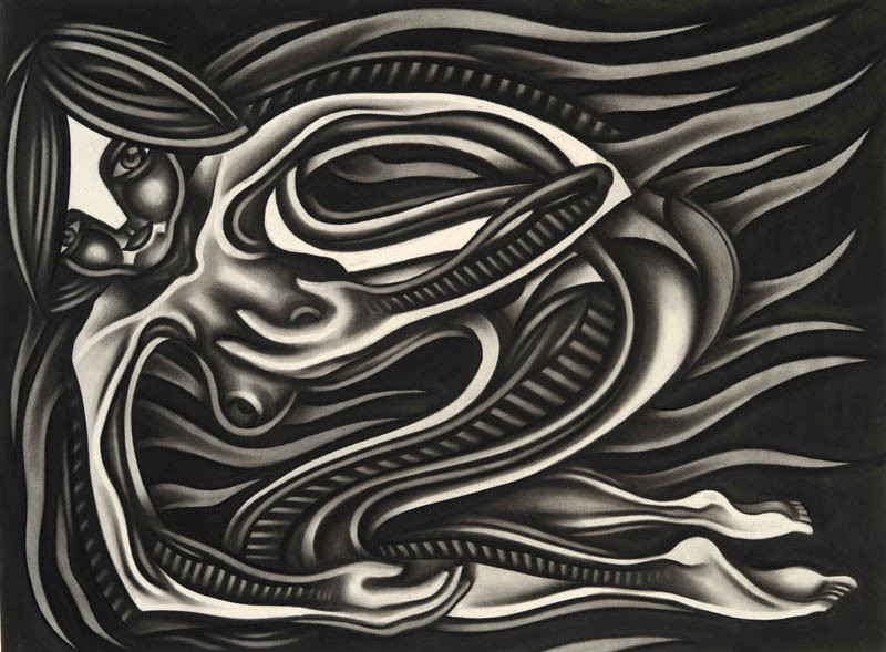 Phoenix by Daniel Voelker 