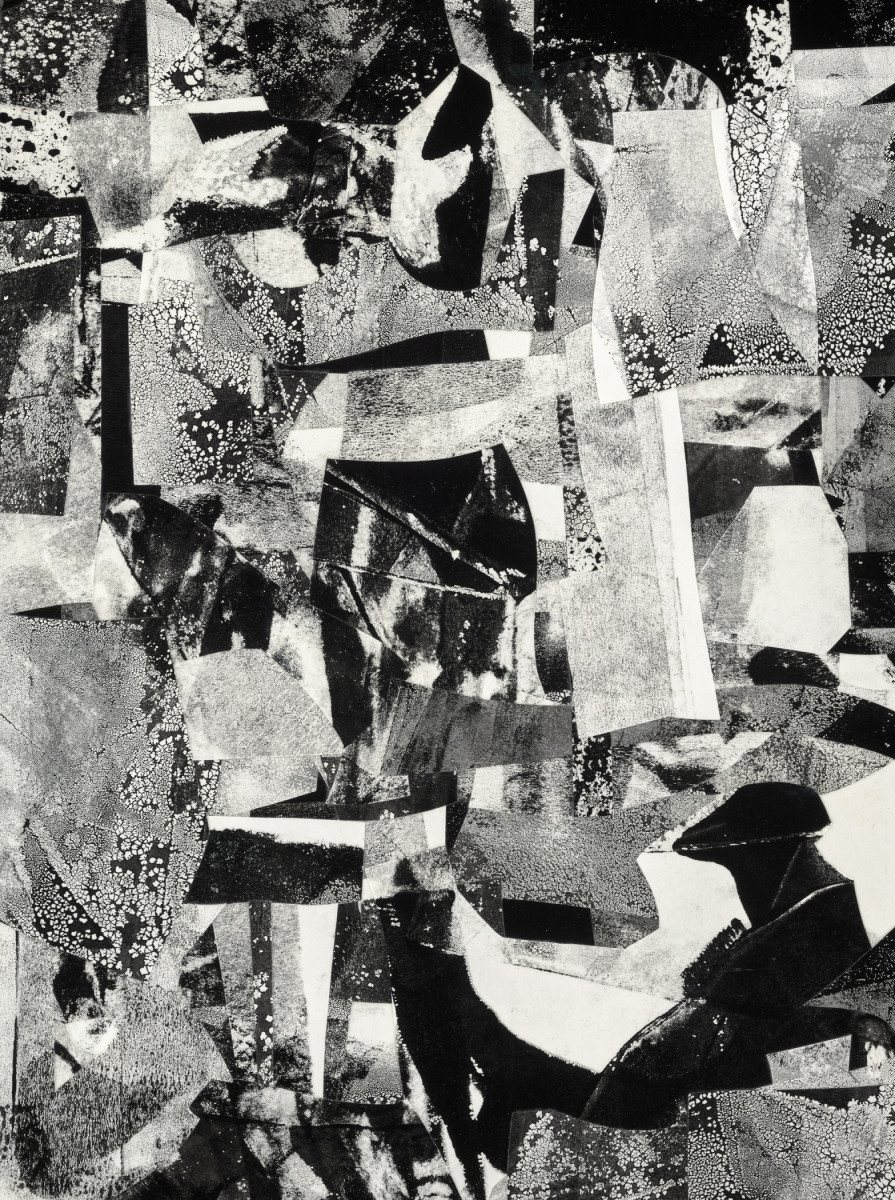 Survivor by Daniel Voelker 