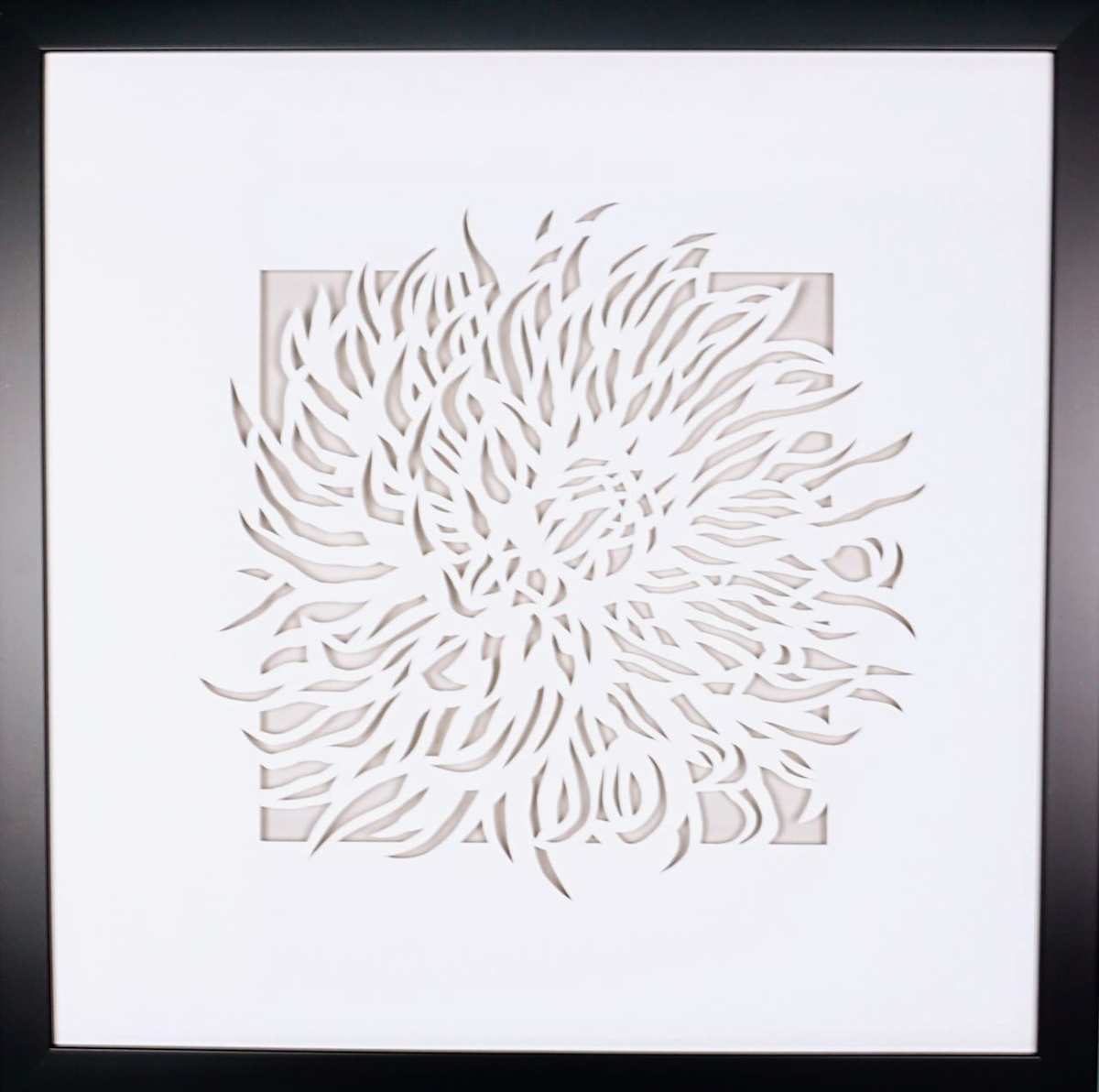 Anemone by Daniel Voelker 