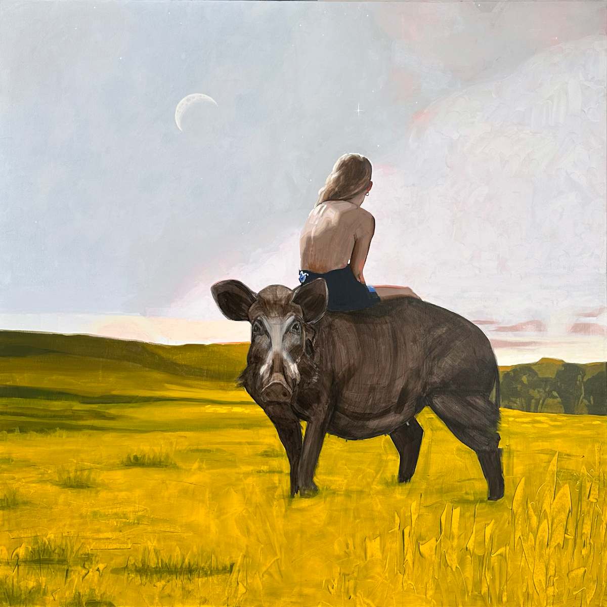 Hildisvíni by Suzanna Schlemm 