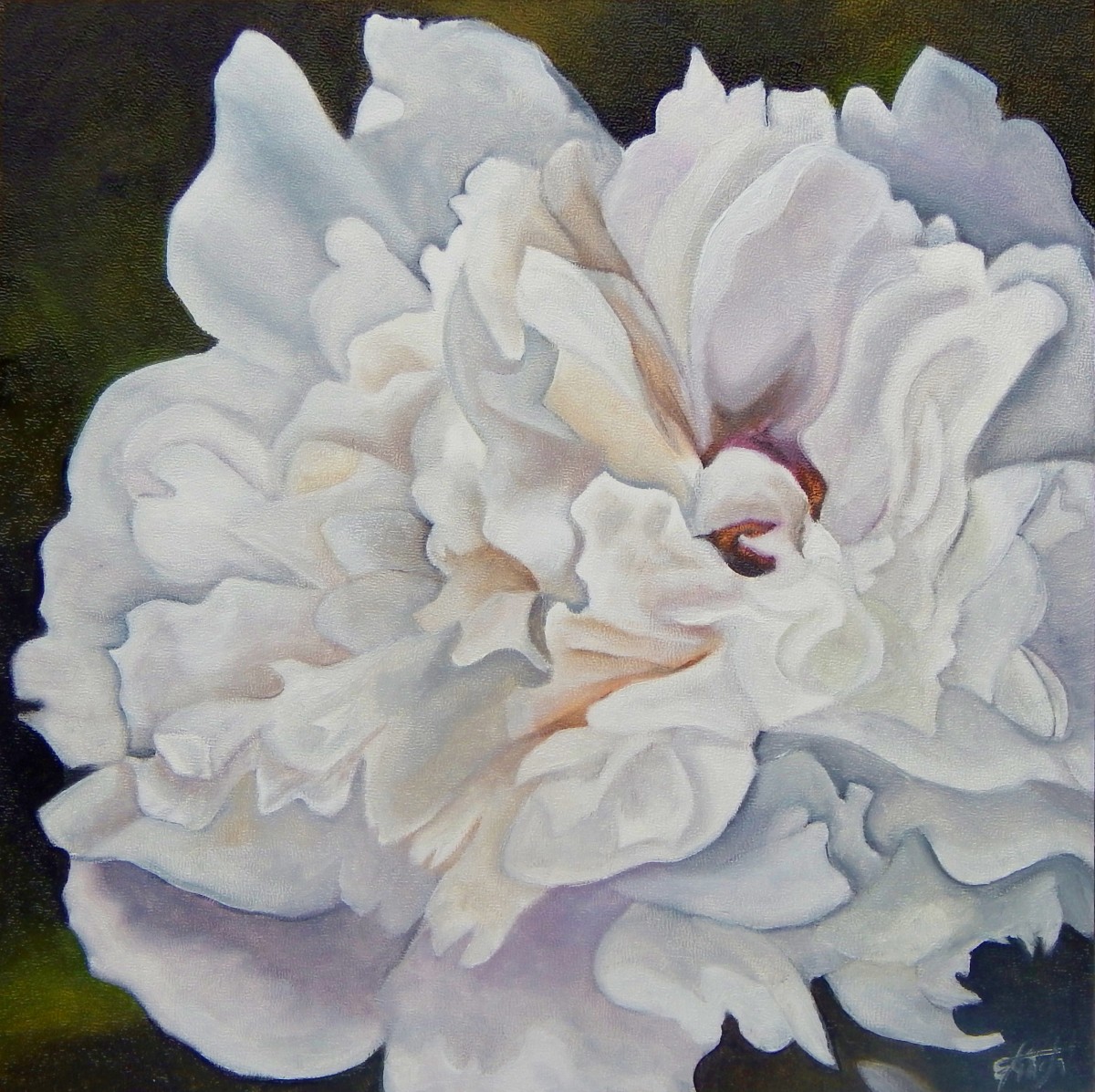 Pale Peony by Emma Knight 