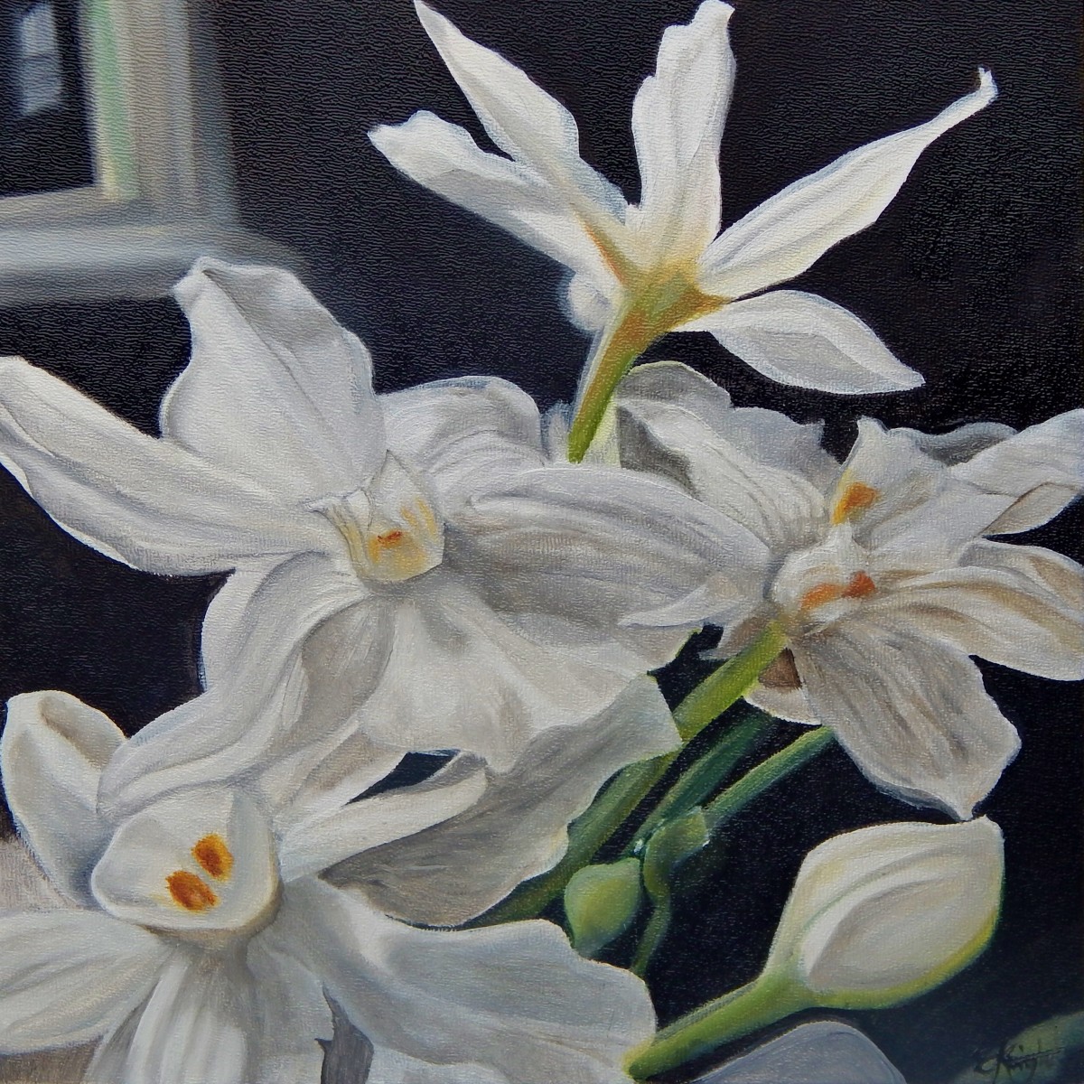 Paperwhites by Emma Knight 