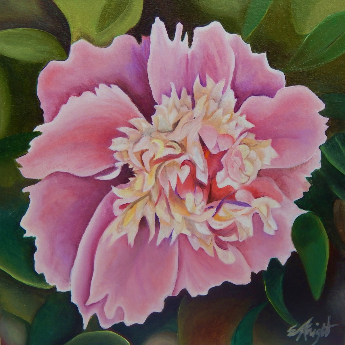 Pink Peony II by Emma Knight 