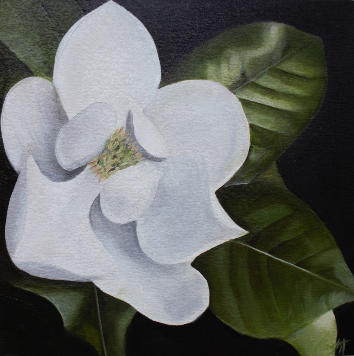 Magnolia Blossom II by Emma Knight 