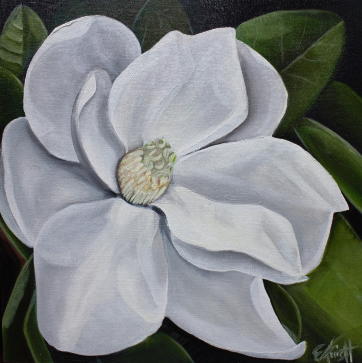 Magnolia Blossom by Emma Knight 