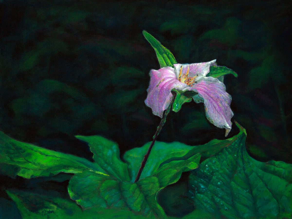 Still Beautiful by Kathy  Dolan, MPAC, IGOR, PAC, SCA 