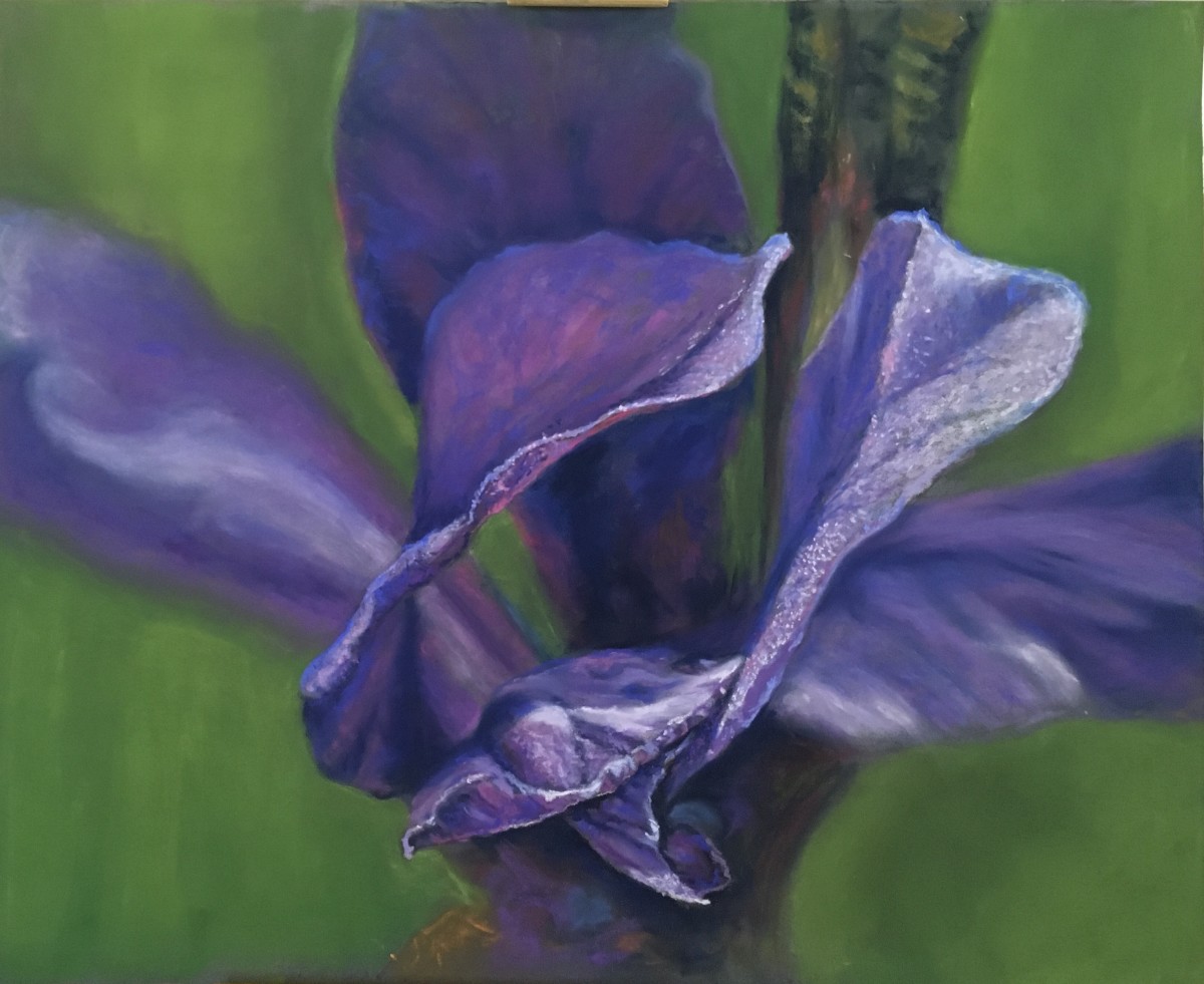 Come Hither by Kathy  Dolan, MPAC, IGOR, PAC, SCA 