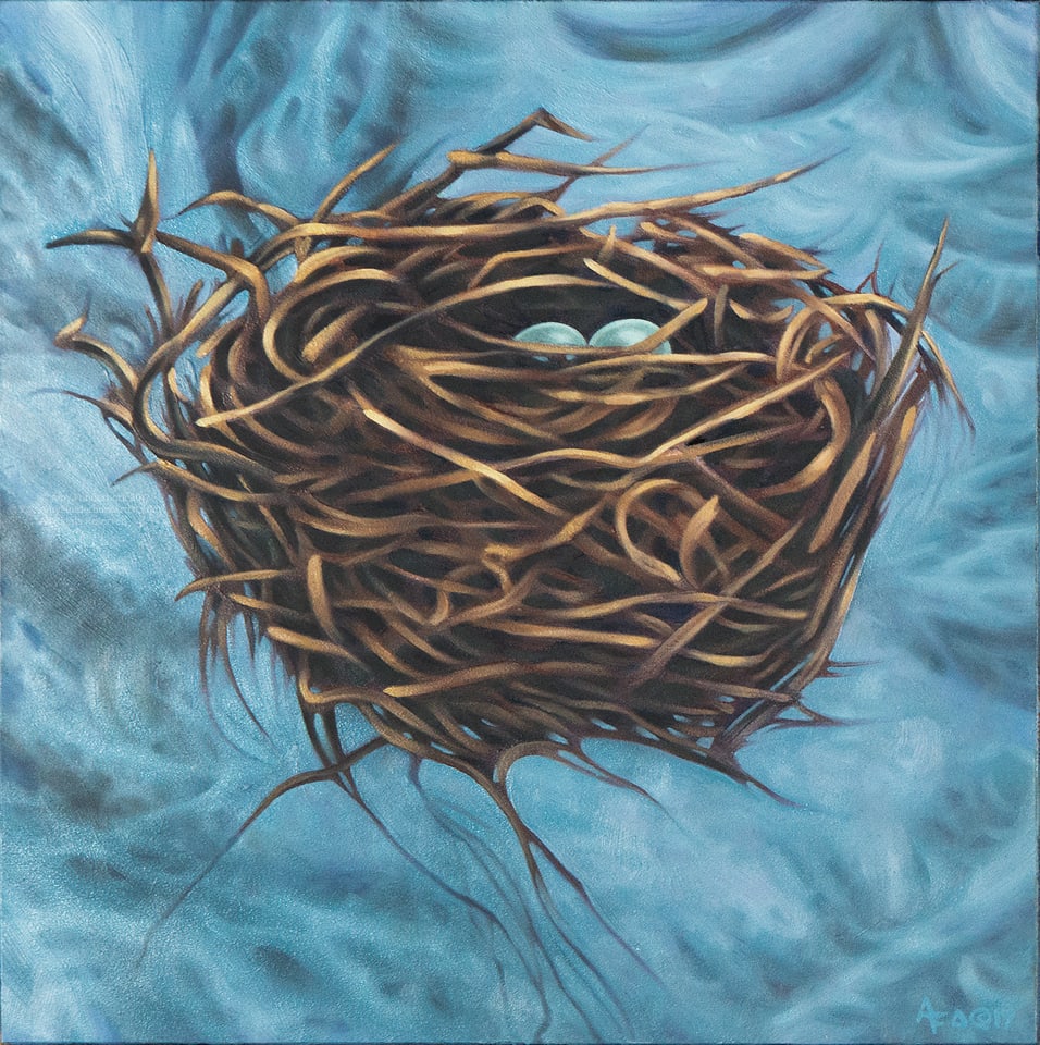 Nest Study #1: The Floating Nest by Amy Funderburk 