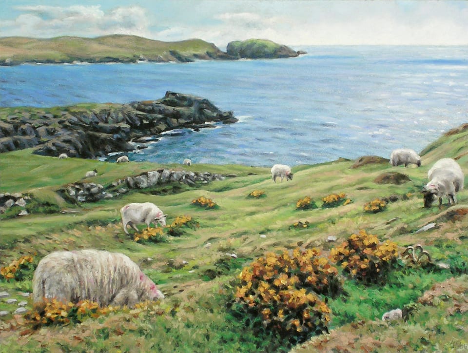 Dursey Island Sheep by Amy Funderburk 
