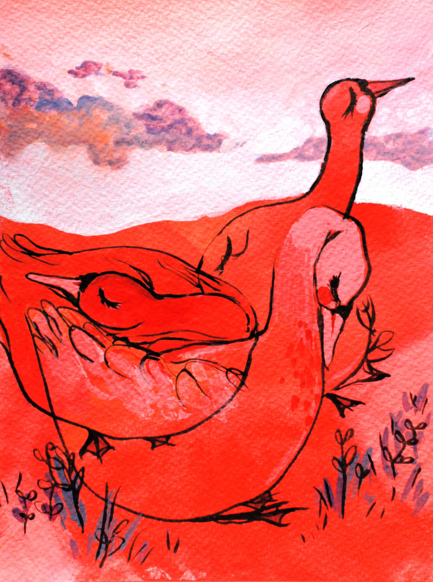 Swans in a Red Field by Rebekah Evans 