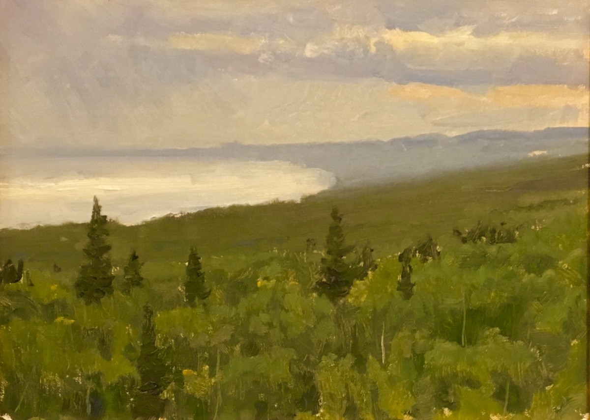 Midday Rain by Neil Sherman 